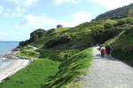 Bas1 (4)